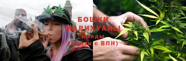 ГАЛЛЮЦИНОГЕННЫЕ ГРИБЫ Балабаново
