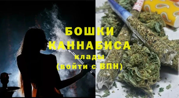 ГАЛЛЮЦИНОГЕННЫЕ ГРИБЫ Балахна