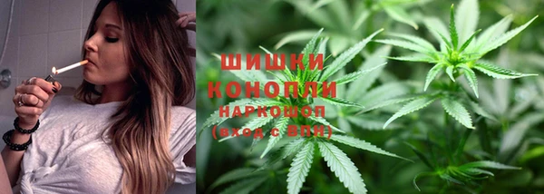 ГАЛЛЮЦИНОГЕННЫЕ ГРИБЫ Балабаново